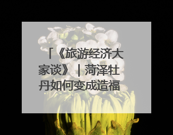 《旅游经济大家谈》｜菏泽牡丹如何变成造福一方百姓的“产业之花”“富民之花”？