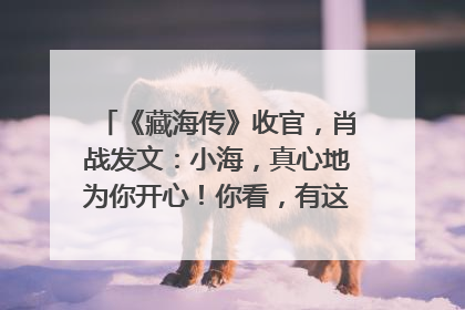 《藏海传》收官，肖战发文：小海，真心地为你开心！你看，有这么多人懂你！