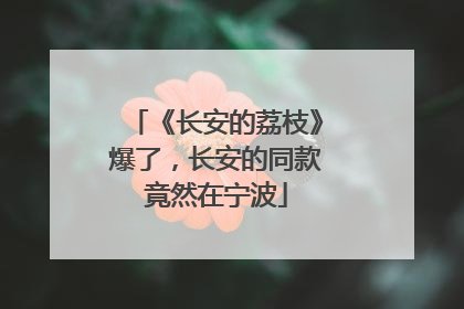 《长安的荔枝》爆了，长安的同款竟然在宁波