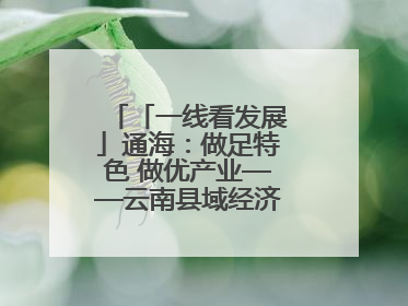 「一线看发展」通海：做足特色 做优产业——云南县域经济样本观察之二