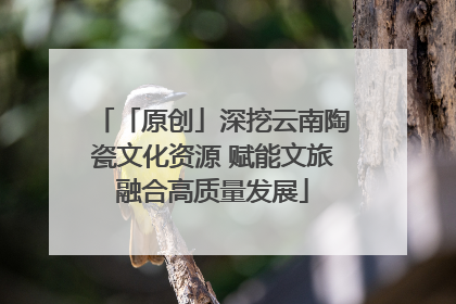 「原创」深挖云南陶瓷文化资源 赋能文旅融合高质量发展