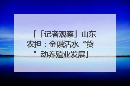 「记者观察」山东农担:金融活水“贷”动养殖业发展