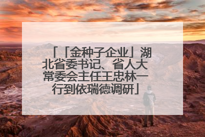 「金种子企业」湖北省委书记、省人大常委会主任王忠林一行到依瑞德调研