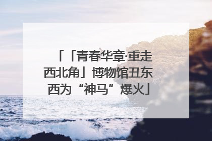「青春华章·重走西北角」博物馆丑东西为“神马”爆火