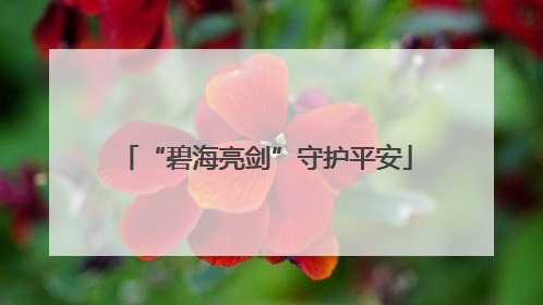 “碧海亮剑”守护平安