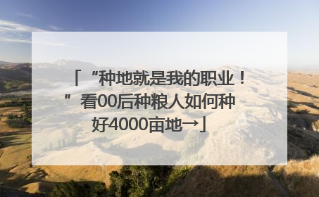 “种地就是我的职业！”看00后种粮人如何种好4000亩地→