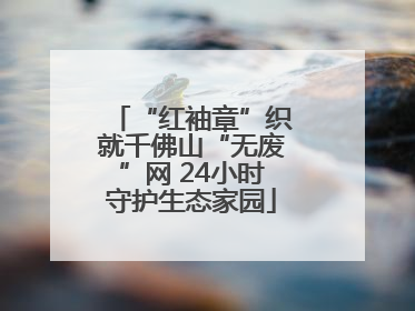 “红袖章”织就千佛山“无废”网 24小时守护生态家园