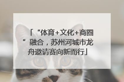 “体育+文化+商圈”融合，苏州河城市龙舟邀请赛向新而行