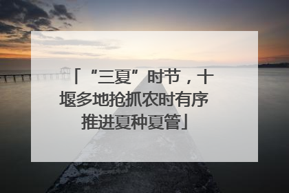 “三夏”时节，十堰多地抢抓农时有序推进夏种夏管