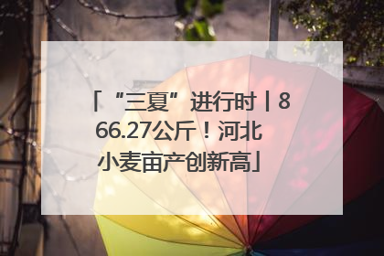 “三夏”进行时丨866.27公斤！河北小麦亩产创新高