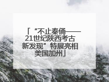 “不止秦俑——21世纪陕西考古新发现”特展亮相美国加州