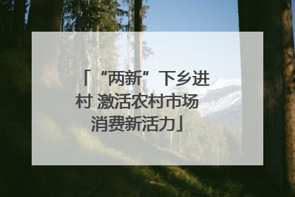 “两新”下乡进村 激活农村市场消费新活力