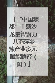 “中国辣都”主题沙龙集智聚力 共商萍乡辣产业多元赋能路径（图）