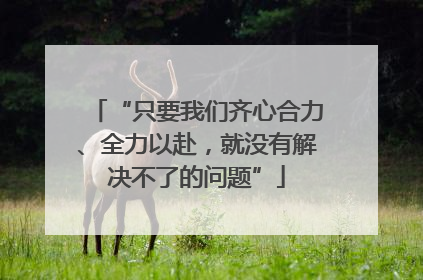 “只要我们齐心合力、全力以赴，就没有解决不了的问题”