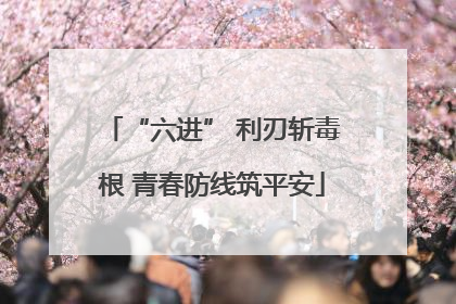 “六进” 利刃斩毒根 青春防线筑平安