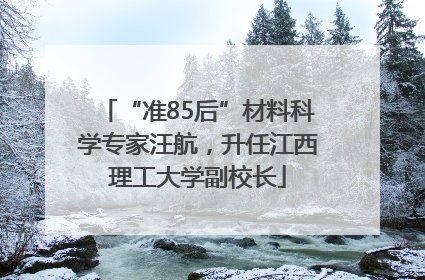“准85后”材料科学专家汪航，升任江西理工大学副校长