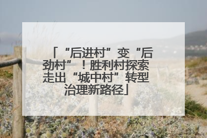 “后进村”变“后劲村”！胜利村探索走出“城中村”转型治理新路径