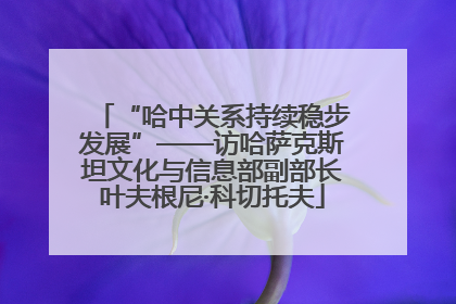 “哈中关系持续稳步发展”——访哈萨克斯坦文化与信息部副部长叶夫根尼·科切托夫