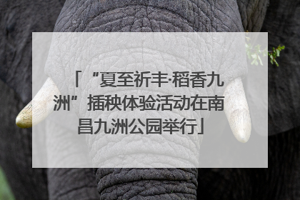 “夏至祈丰·稻香九洲”插秧体验活动在南昌九洲公园举行