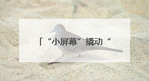 “小屏幕”撬动“大产业”，平原示范区微短剧“剧集地”激活文化新经济