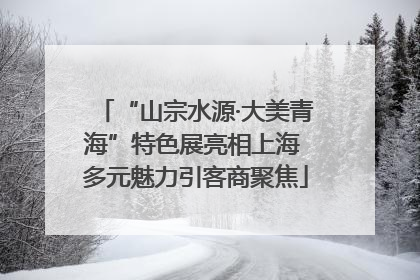 “山宗水源·大美青海”特色展亮相上海 多元魅力引客商聚焦