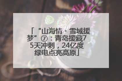 “山海情・雪域援梦”⑦：青岛援藏75天冲刺，24亿度绿电点亮高原