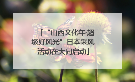 “山西文化年·超级好风光”日本采风活动在大同启动
