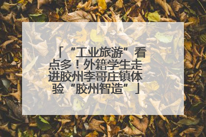 “工业旅游”看点多！外籍学生走进胶州李哥庄镇体验“胶州智造”