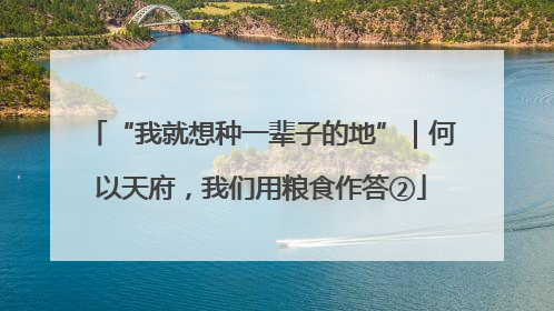 “我就想种一辈子的地”｜何以天府，我们用粮食作答②