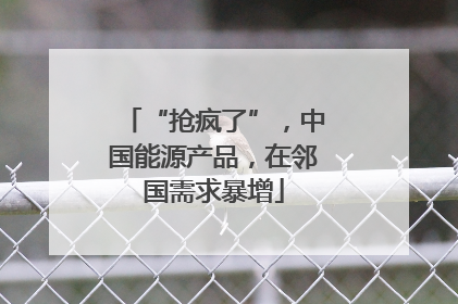 “抢疯了”，中国能源产品，在邻国需求暴增