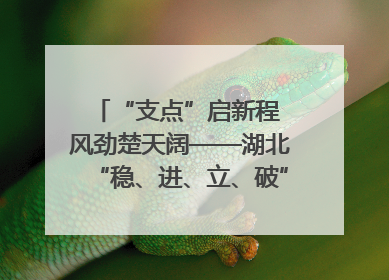 “支点”启新程 风劲楚天阔——湖北“稳、进、立、破”谱写“荆”彩篇章