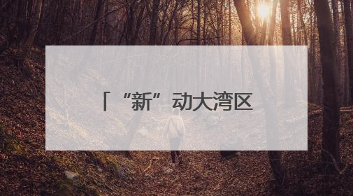 “新”动大湾区 点亮千万家｜“高质量发展能源行”系列报道③
