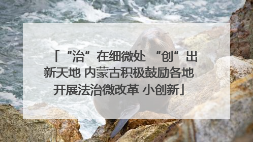 “治”在细微处 “创”出新天地 内蒙古积极鼓励各地开展法治微改革 小创新