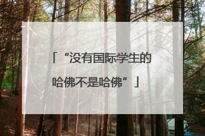 “没有国际学生的哈佛不是哈佛”