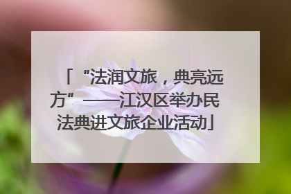 “法润文旅，典亮远方”——江汉区举办民法典进文旅企业活动
