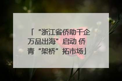 “浙江省侨助千企万品出海”启动 侨青“架桥”拓市场