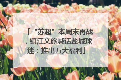 “苏超”本周末再战，镇江文旅喊话盐城球迷：推出五大福利