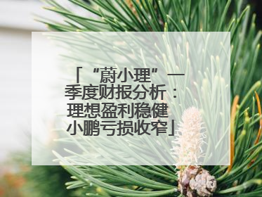 “蔚小理”一季度财报分析：理想盈利稳健 小鹏亏损收窄