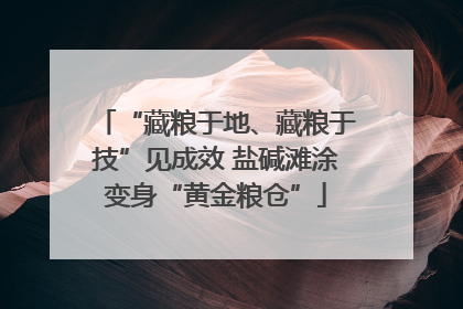 “藏粮于地、藏粮于技”见成效 盐碱滩涂变身“黄金粮仓”