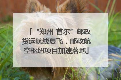 “郑州-首尔”邮政货运航线复飞，邮政航空枢纽项目加速落地