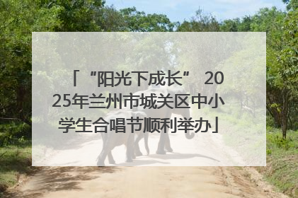 “阳光下成长” 2025年兰州市城关区中小学生合唱节顺利举办
