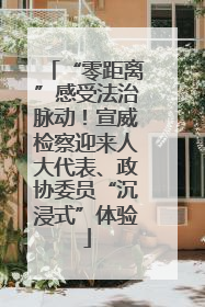“零距离”感受法治脉动！宣威检察迎来人大代表、政协委员“沉浸式”体验