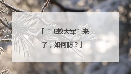 “飞蚁大军”来了，如何防？
