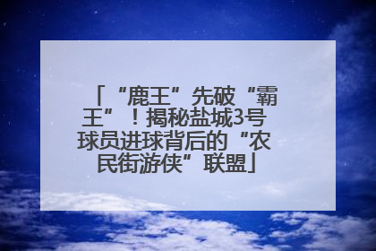 “鹿王”先破“霸王”！揭秘盐城3号球员进球背后的“农民街游侠”联盟