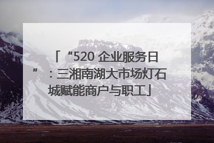 “520 企业服务日”：三湘南湖大市场灯石城赋能商户与职工