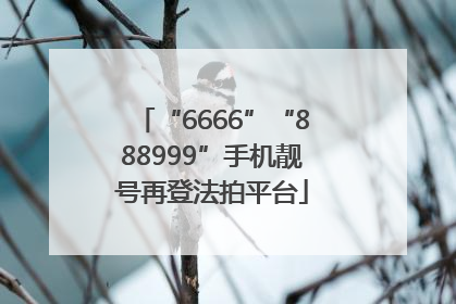 “6666”“888999”手机靓号再登法拍平台