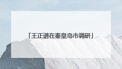 王正谱在秦皇岛市调研