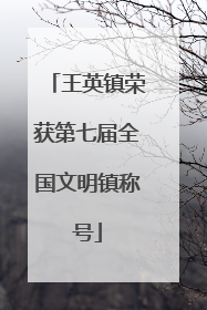 王英镇荣获第七届全国文明镇称号