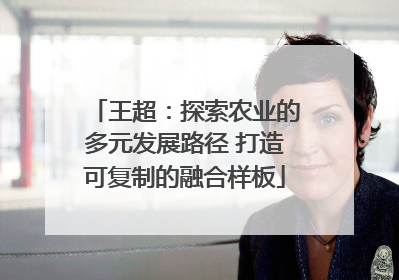 王超：探索农业的多元发展路径 打造可复制的融合样板