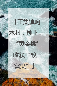 王集镇响水村：种下“黄金桃” 收获“致富果”